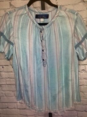 Blue Rain Mint and White Striped Button-Henley Blouse